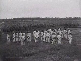 Inmates working in a field.