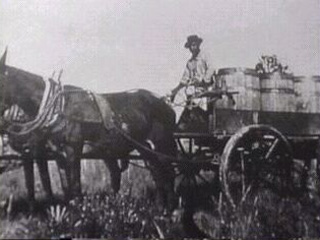 Man hauling goods with a horses.