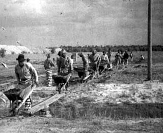 Line of inmates with wheelbarrows in open field.