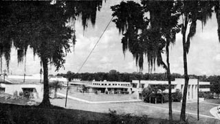 Large sprawl of flat-top buildings behind three large, moss covered trees.