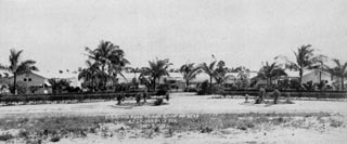 Several building among palm trees.