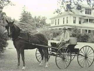 Leonard Chapman on a Horse and Buggy