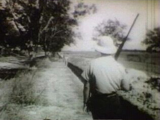 Officer holding a gun