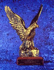 ACA Golden Eagle Award