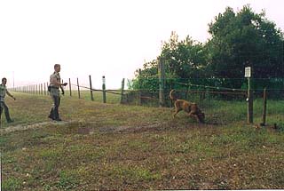 Two officers, one with a dog, walking a fence.