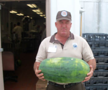 Officer holding a very large watermelon.