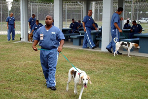 Inmate walking a dog.